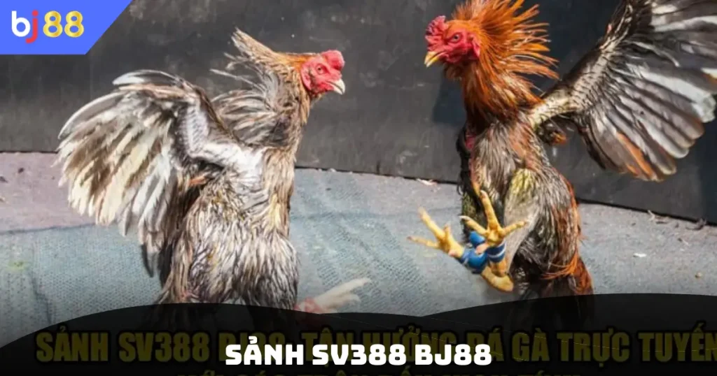 Sảnh Sv388 Bj88