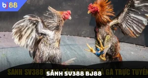 Sảnh Sv388 Bj88