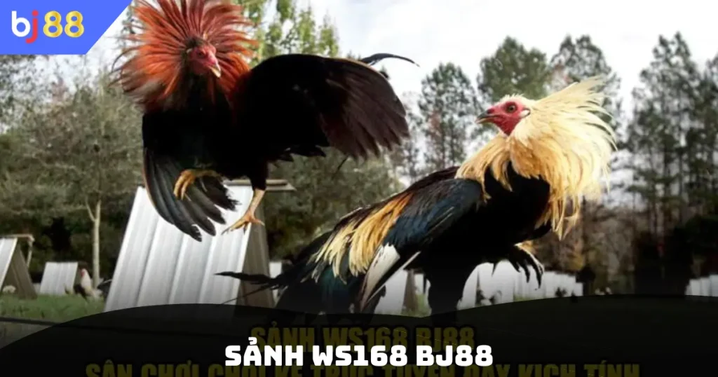 Sảnh WS168 BJ88